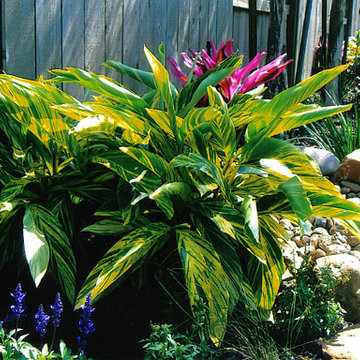 Flowerbeds