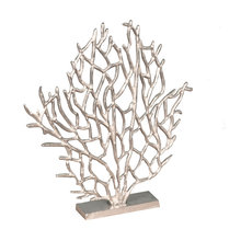 Sea Fan