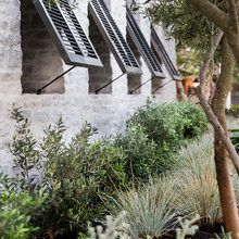 Patio Ideas