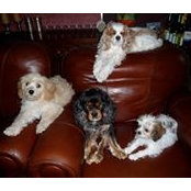 Annette Levin's photo