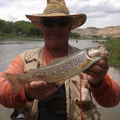 Harold Smith's photo