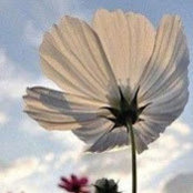 Heidi Witham's photo