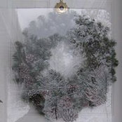 Maxine Miller's photo