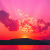 Narendra Patel's photo