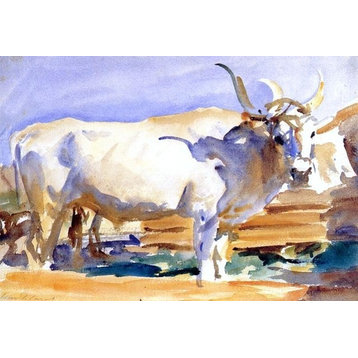 John Singer Sargent A White Ox at Siena, 18"x27" Wall Decal