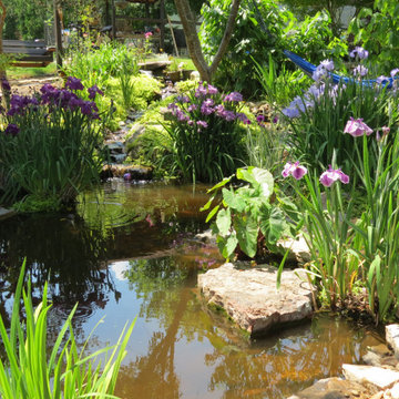 Water features