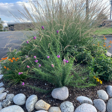 Native Plant Landscaping, Hardscaping, and Bioswales