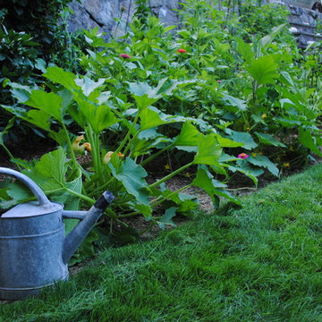 Good Garden's Own Backyard