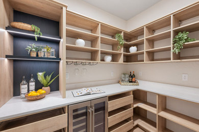 Cabinet Systems Pantry