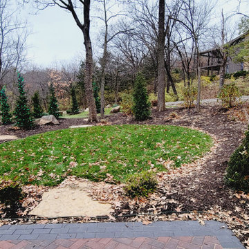 Woodland Renovation