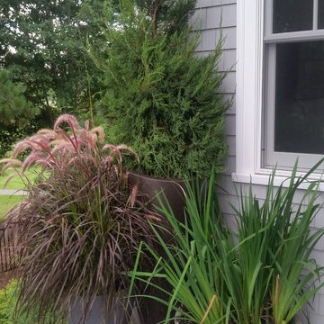 Planters & WIndow Boxes