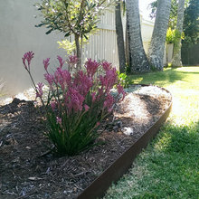 Garden Edging