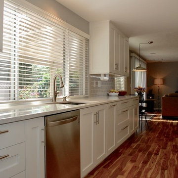 Contemporary Galley Kitchen