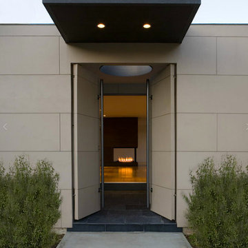 Tigertail with Patrick Tighe