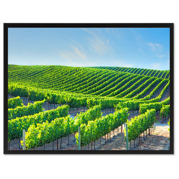 Napa Valley California Landscape Photo Canvas Print with Picture Frame, 28"x37"