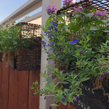 Sideyard Transformation Before & After