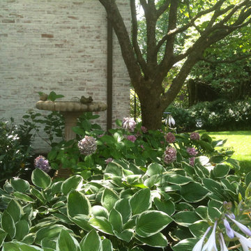 Plant Combinations