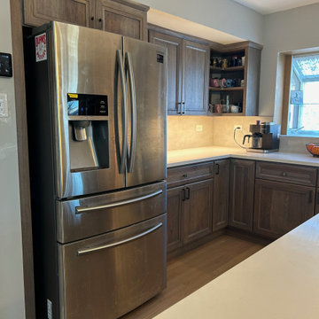 Oak Lawn Kitchen remodel