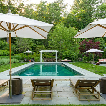 A Lush Green Back Garden With Pool