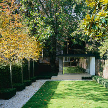 Back Garden
