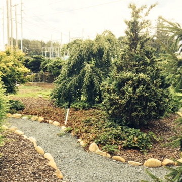 TEST GARDEN