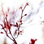Nadège Stroesler's photo