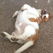 Ronnie Highnote's photo