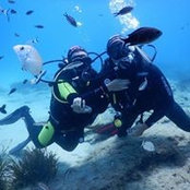 Edoardo Signoris's photo