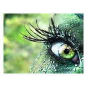 Natasha Young's photo