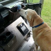 Brandon Chambers's photo