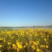 Rene LeBreton's photo