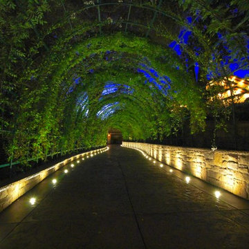 Exterior Lighting, Philips Hue Bulbs