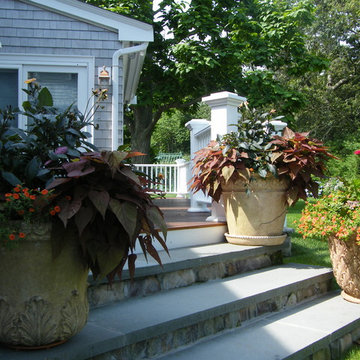 Container gardens