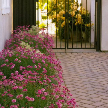 Lush, Layered Garden Retreat in Woodside, CA