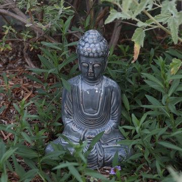 Drought-Tolerant Serenity