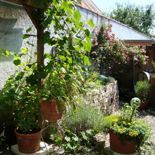 Garten & Blumen