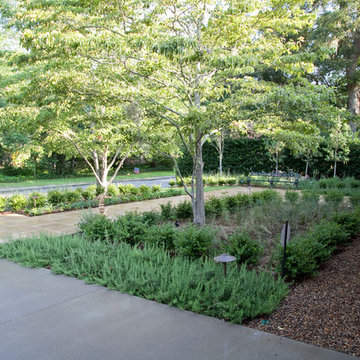 modern entry courtyard