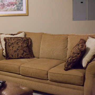Den and Basement Area