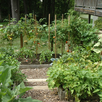 Vegetable Garden on a Slope