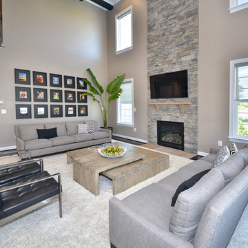 Modern Family Room / Modern Living Room