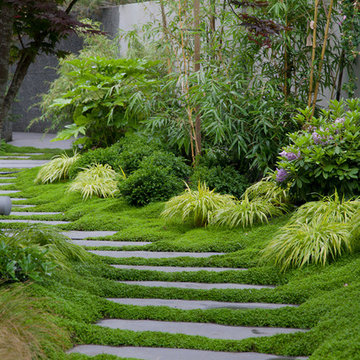 temperate tropical hideaway
