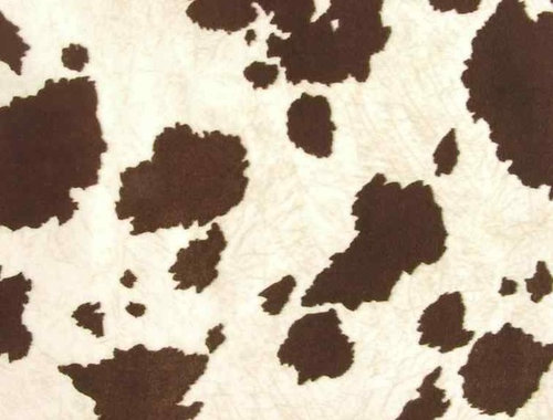 I Would Like A Sample Of This Cow Print Faux Cowhide Fabric For Upholstery Brown White More Info