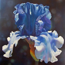 Art Work