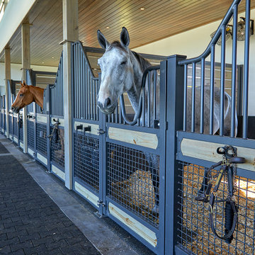 Modern Stables / horse barn