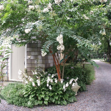 Landscaping with Trees