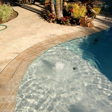 Orange County California Pool & Garden