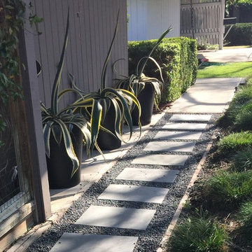 CONTEMPORARY PATH