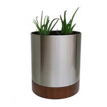 potential light fixture