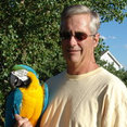 Blue Parrot Painting's profile photo