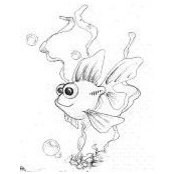 Fish Fish's photo